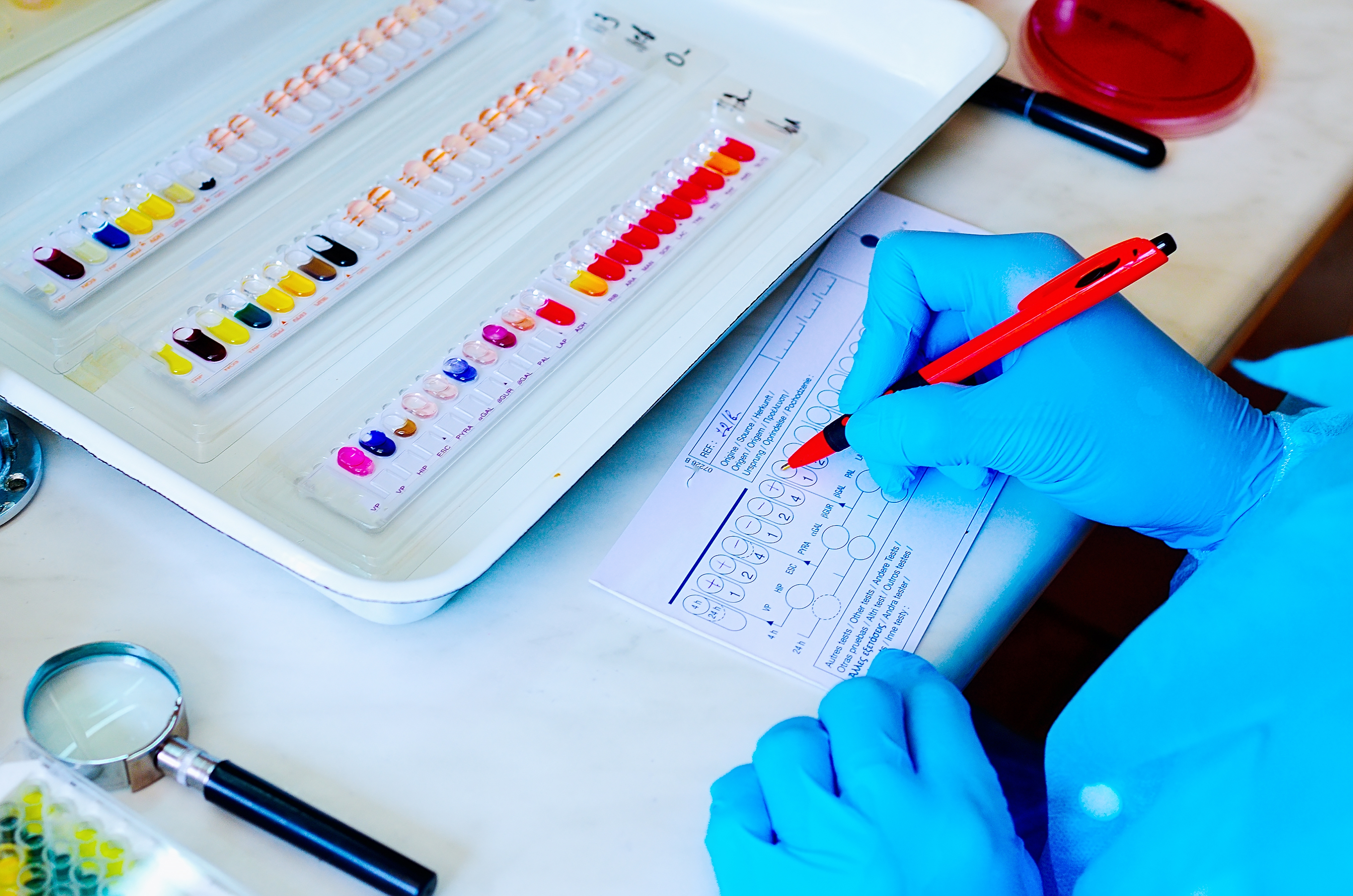 laboratory-test-results